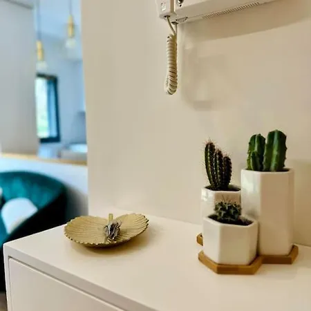 Estudio Fonte De Gafos *