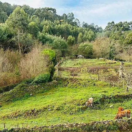 Estudio Fonte De Gafos * بايونا